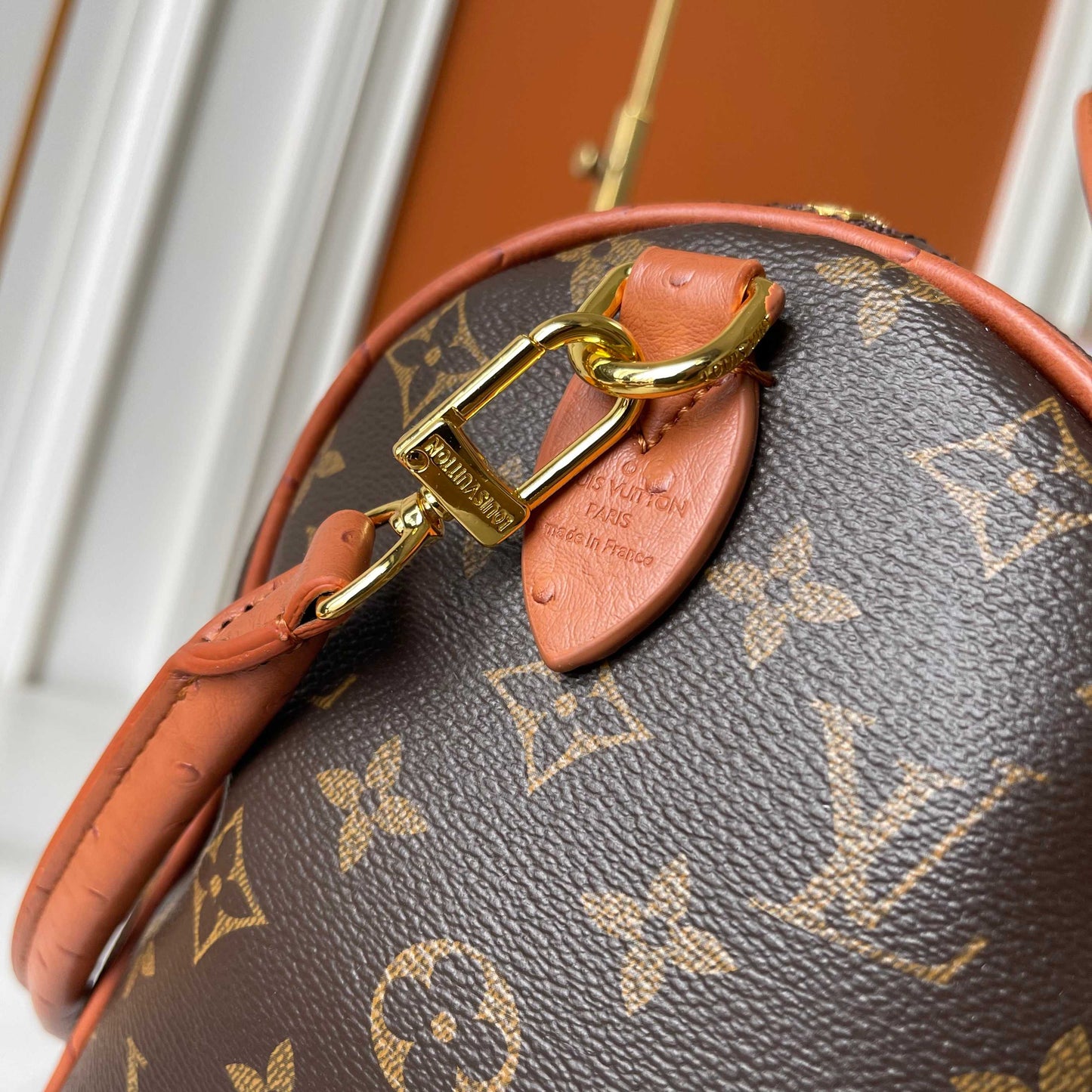 Bolso Speedy Soft 30 Boho | Estilo Bohemio y Lujo Artesanal en Panamá